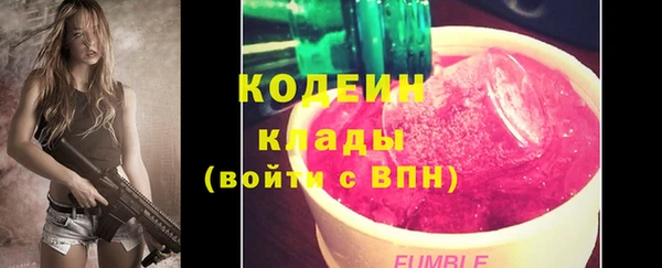 прущие грибы Осинники