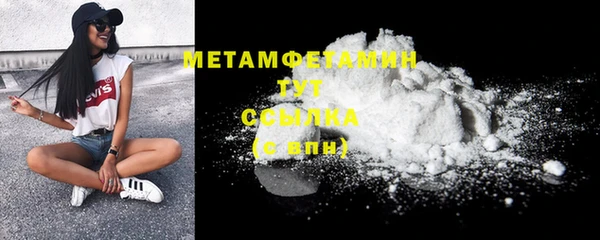 прущие грибы Осинники